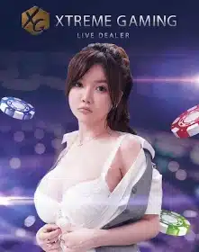 casino13